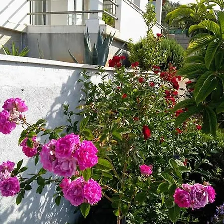 By The Sea Kanica, - 16189 Apartman Rogoznica (Sibenik-Knin)
